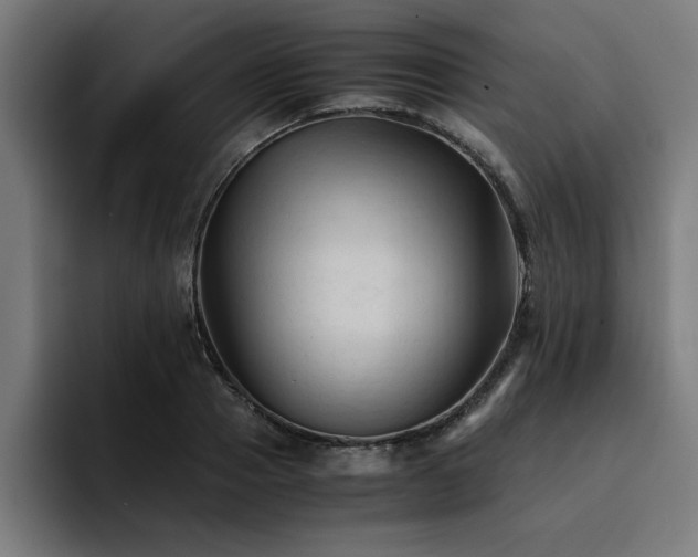 X0000094450937200711081302
