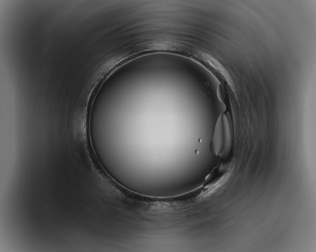 X0000094450938200711081302
