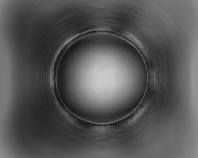 X0000094450939200711081302