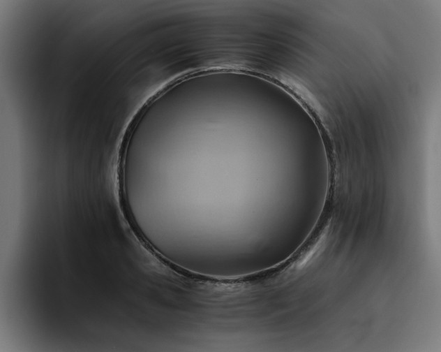 X0000094450941200711081302