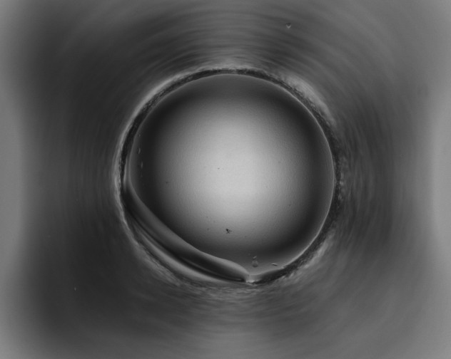 X0000094450942200711081302