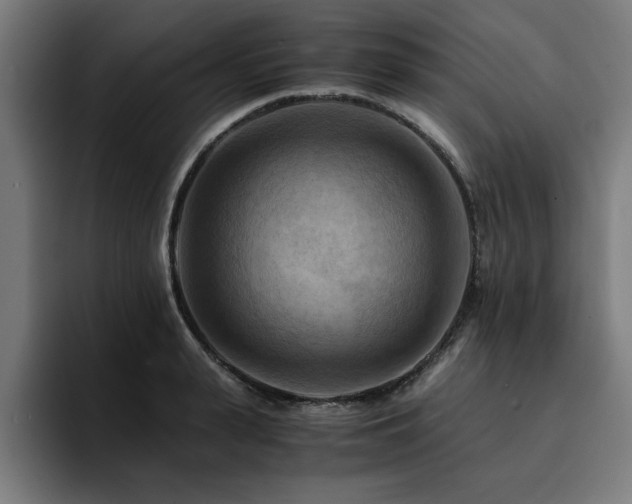 X0000094450943200711081302
