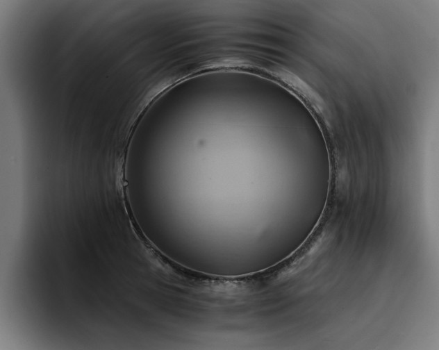 X0000094450945200711081302