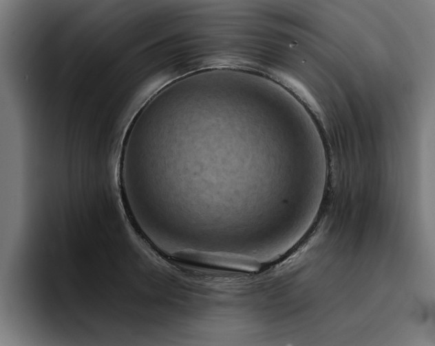 X0000094450946200711081302