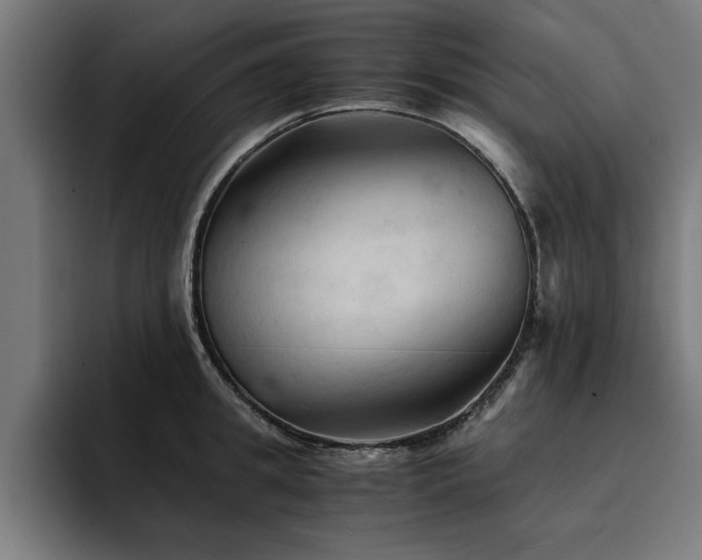 X0000094450949200711081302