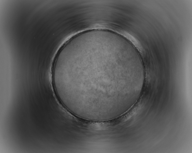 X0000094450950200711081302