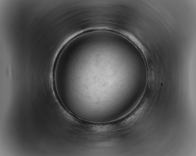 X0000094450951200711081302