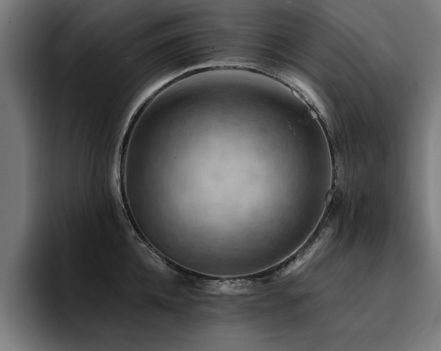 X0000094450952200711081302