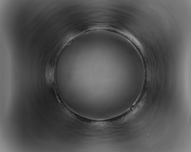 X0000094450953200711081302