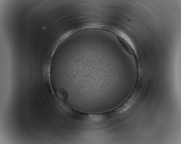 X0000094450954200711081302