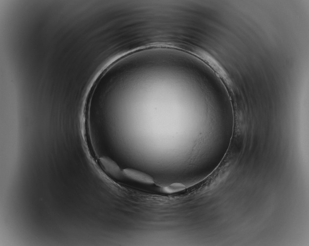X0000094450955200711081302