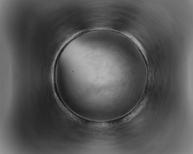 X0000094450957200711081302