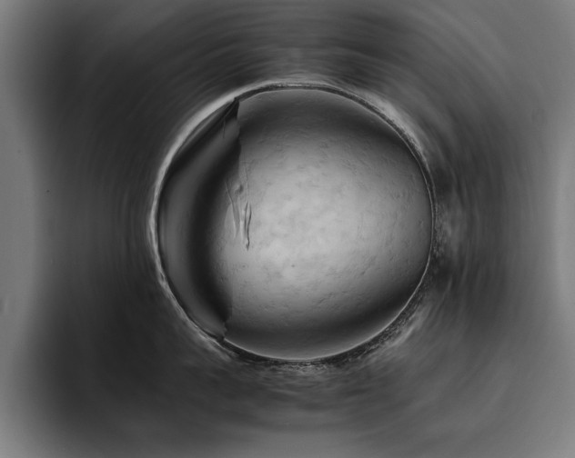 X0000094450959200711081302