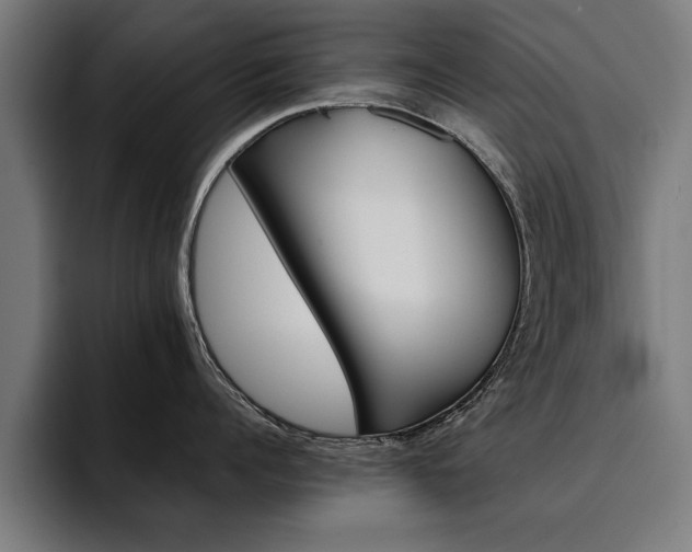 X0000094450960200711081302