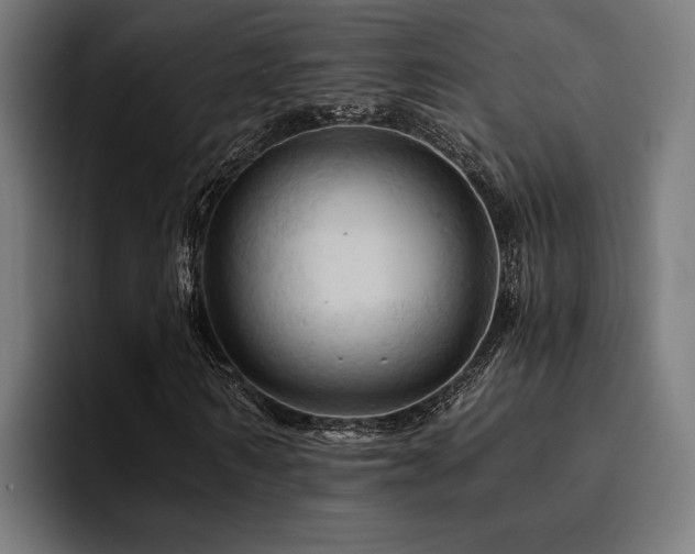 X0000094450962200711081301