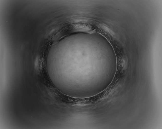 X0000094450965200711081301