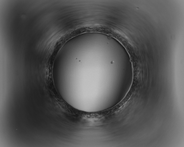 X0000094450966200711081301