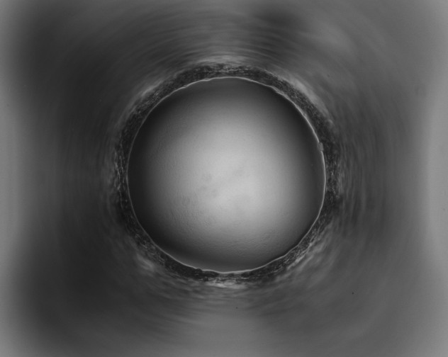 X0000094450967200711081301