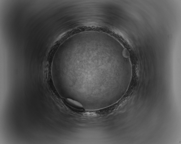 X0000094450968200711081301
