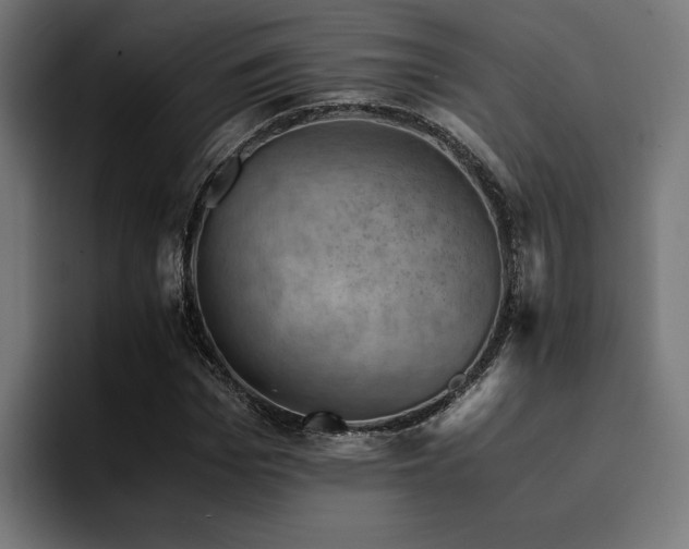 X0000094450969200711081301