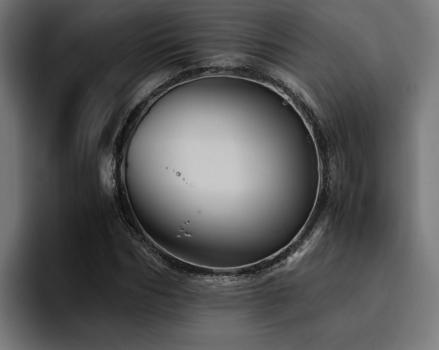 X0000094450970200711081301
