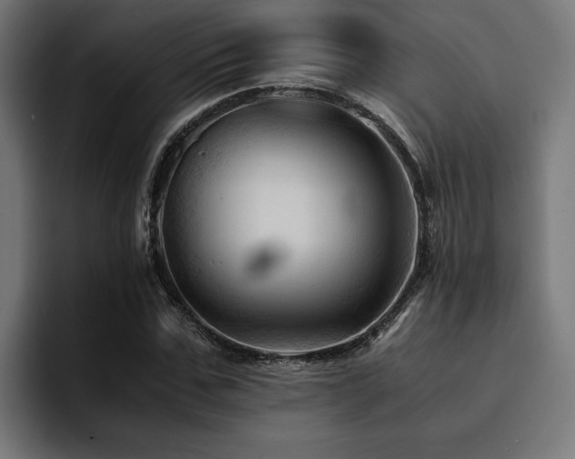 X0000094450971200711081301