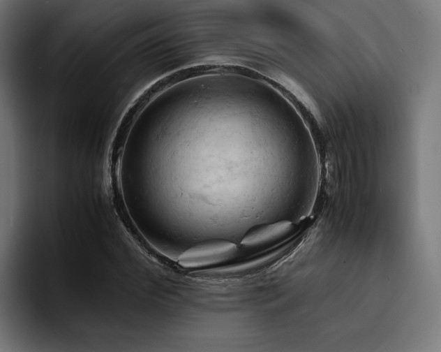 X0000094450972200711081301