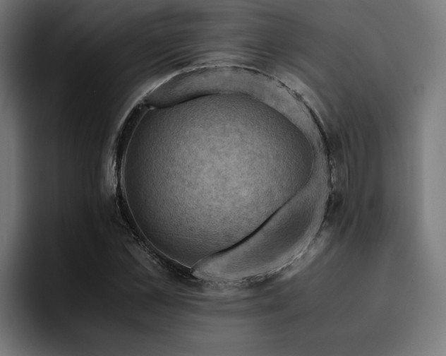 X0000094450973200711081301