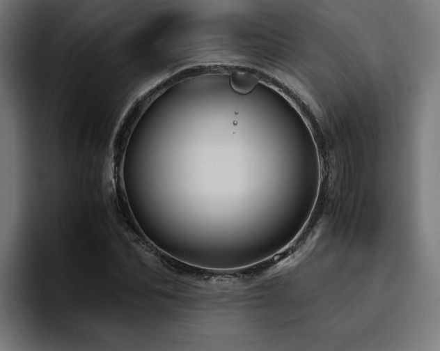 X0000094450974200711081301