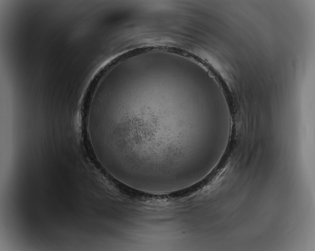 X0000094450975200711081301
