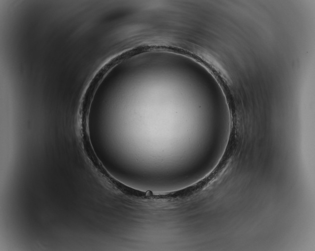 X0000094450976200711081301