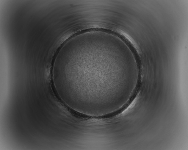 X0000094450977200711081301