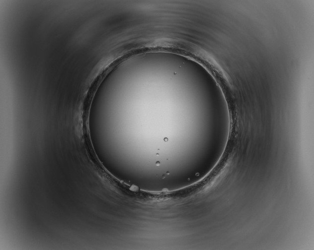 X0000094450978200711081301