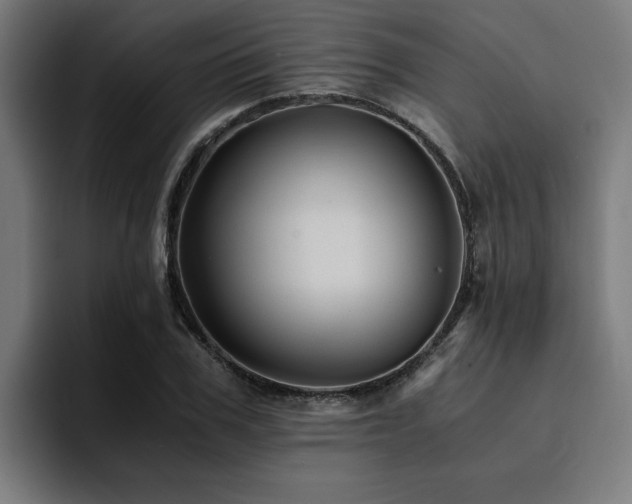 X0000094450979200711081301