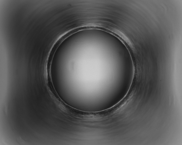 X0000094450980200711081301
