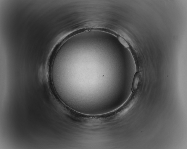 X0000094450981200711081301