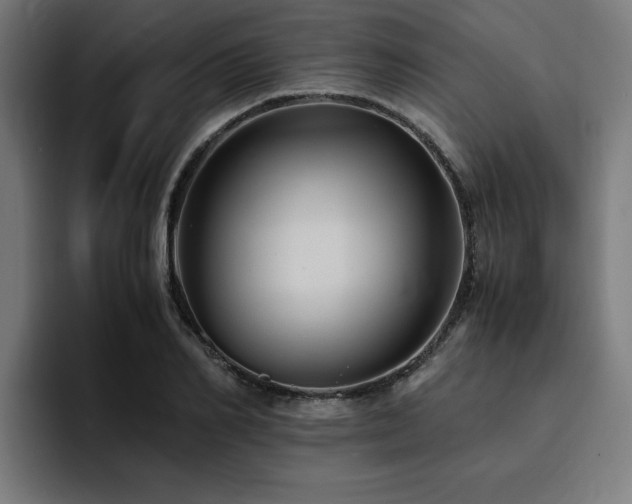 X0000094450982200711081301