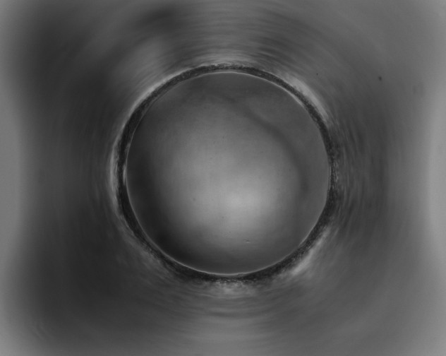 X0000094450983200711081301