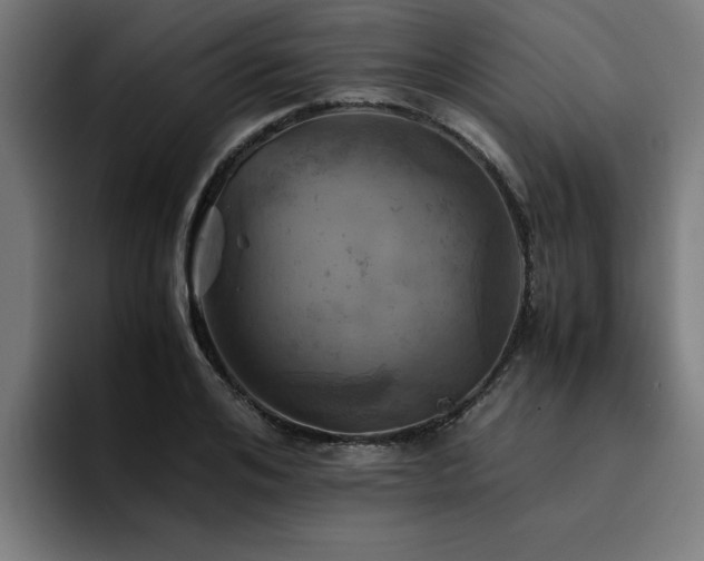 X0000094450984200711081301