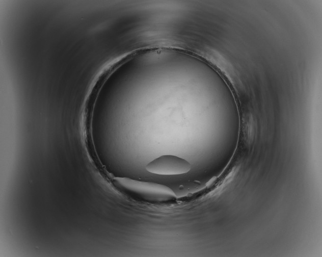 X0000094450987200711081301