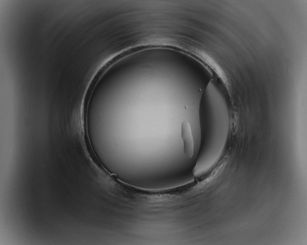 X0000094450988200711081301