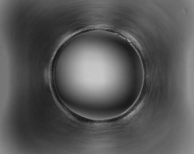 X0000094450989200711081301