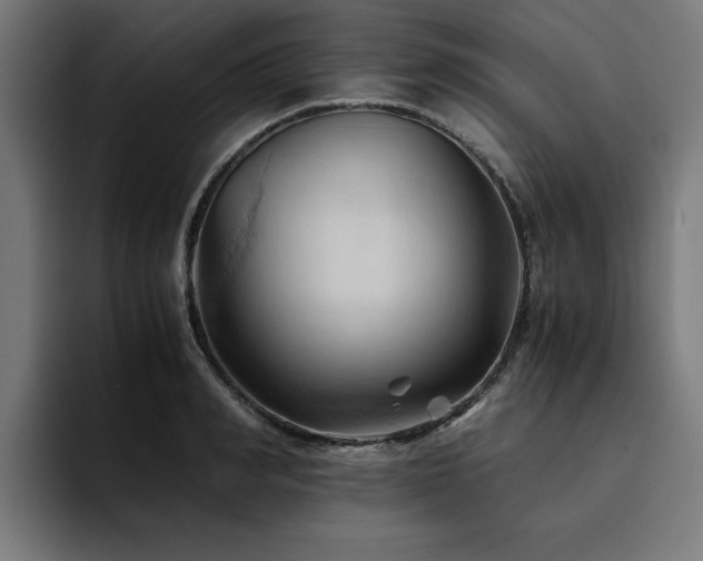 X0000094450990200711081301