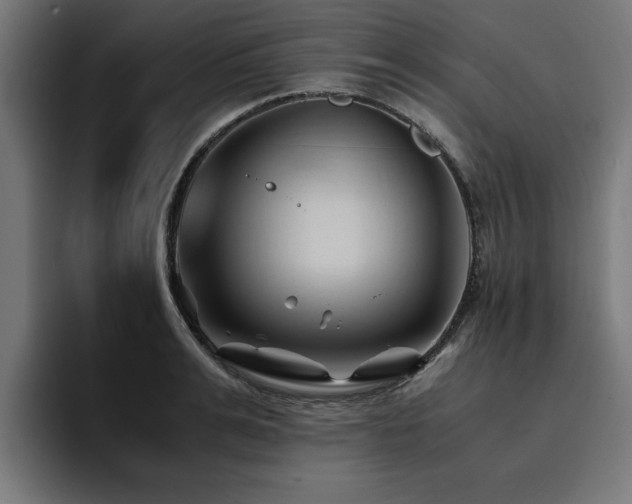X0000094450991200711081301