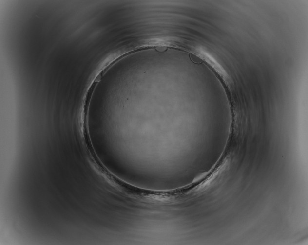 X0000094450994200711081301