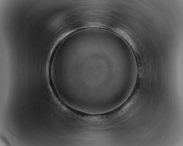 X0000094450995200711081301
