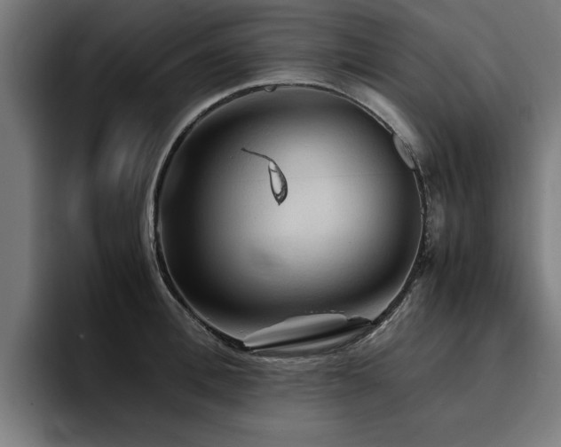 X0000094450996200711081301