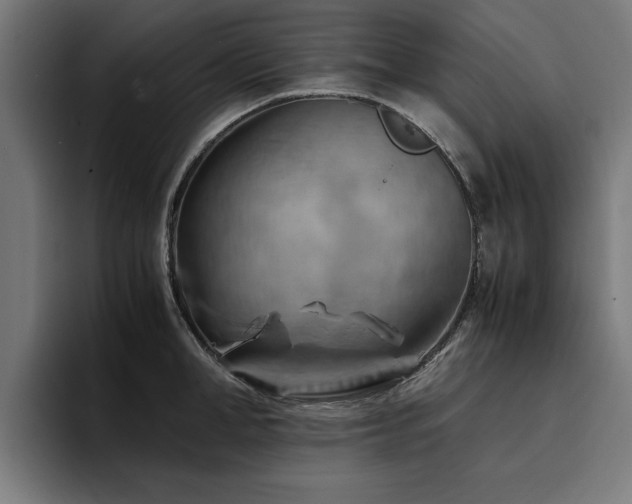 X0000094450998200711081301
