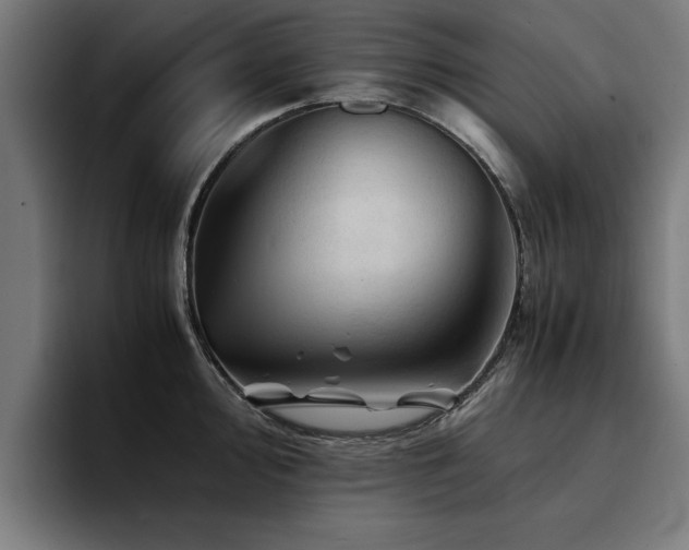 X0000094451000200711081301