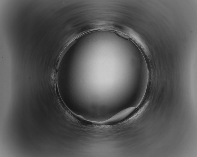 X0000094451001200711081301